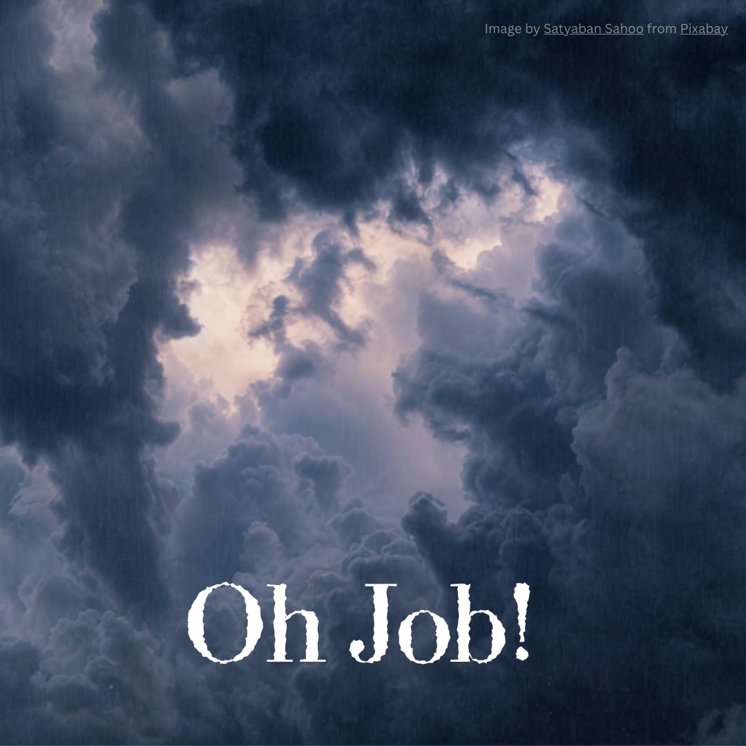 Oh Job Cover